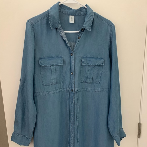 Mama Lyocell Shirt Dress 
